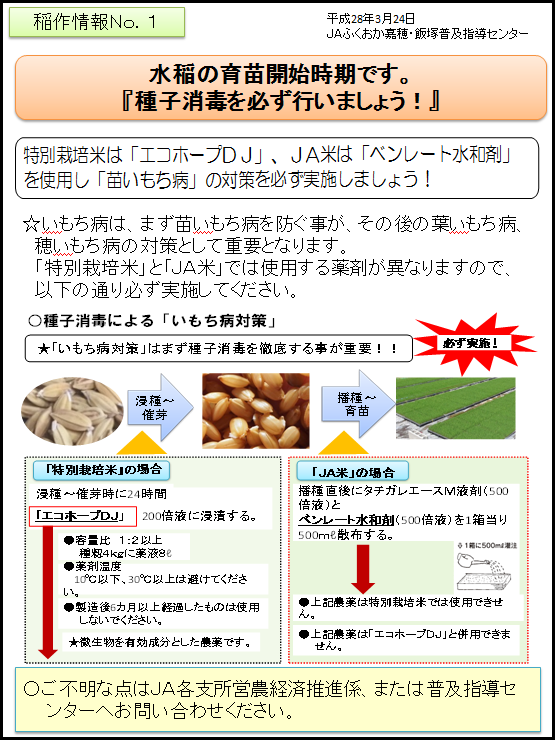 稲作情報